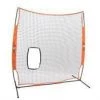 Nets Bownet Pitch Thru Pro